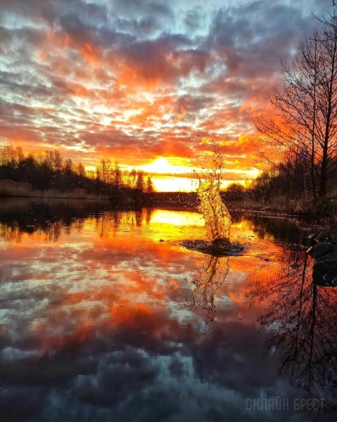 Читатель: Огненный рассвет. Фото сделаны сегодня в городе-спутнике Бреста
Читатель: Огненный рассвет. Фото сделаны сегодня в городе-спутнике Бреста