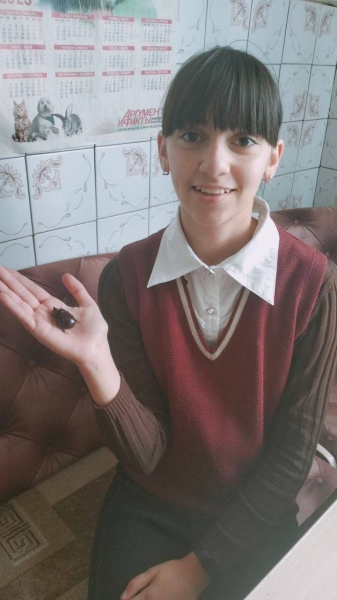 Дрогичинский район. В агрогородке Именин обнаружили жука-носорога Дрогичинский район. В агрогородке Именин обнаружили жука-носорога