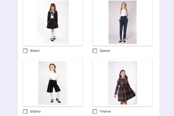 Жакет, юбка, бабочка... Белорусов просят решить, какие элементы школьной формы необходимы