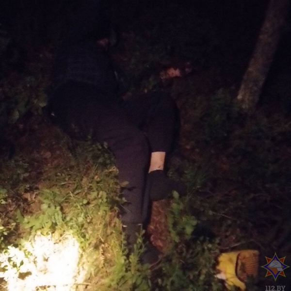В Кобринском районе спасатели нашли потерявшегося в лесу пенсионера