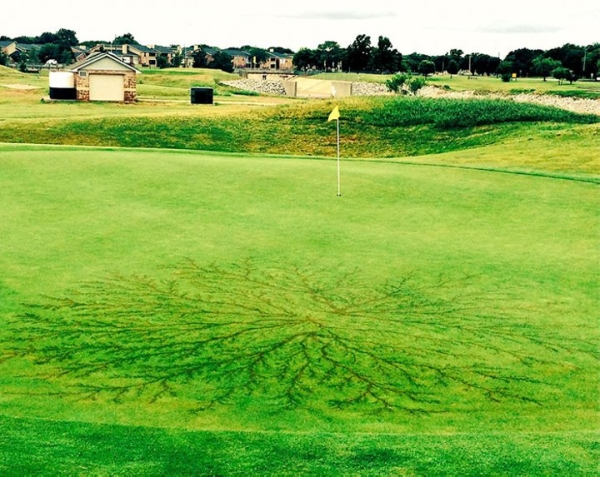 После разряда — что происходит с человеком, в которого ударила молния После разряда — что происходит с человеком, в которого ударила молния