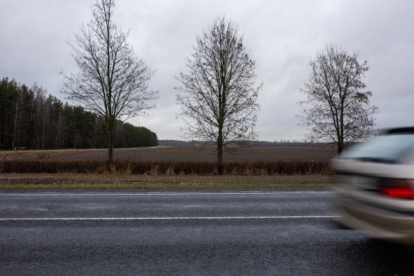 От испуга до «уголовки». Разбираемся, накажут ли водителя, если он сбил животное в зоне действия особого знака От испуга до «уголовки». Разбираемся, накажут ли водителя, если он сбил животное в зоне действия особого знака