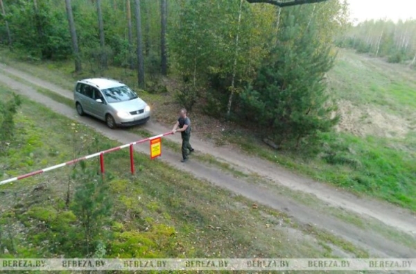 Попали в кадр: как в Ивацевичском лесхозе фотоловушки помогают бороться с нарушителями Попали в кадр: как в Ивацевичском лесхозе фотоловушки помогают бороться с нарушителями