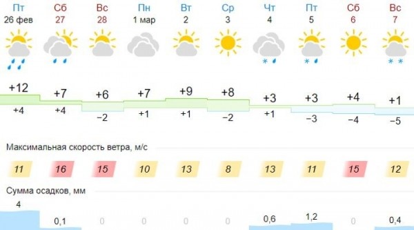 Какой будет погода в Бресте в последние зимние выходные? Смотрите обзор