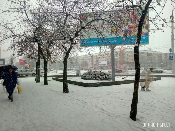 Введен оранжевый уровень: готовимся к сильному ветру и гололедице