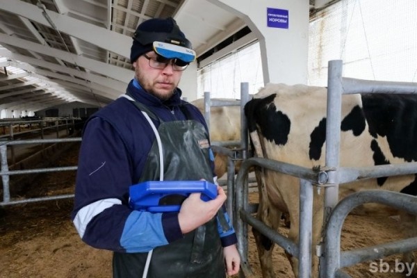Более 40 молочно-товарных ферм рассчитывают ввести в строй на Брестчине в этом году