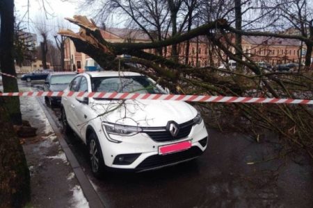 Причину аномально сильных ветров в январе объяснил синоптик