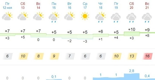 В Брестской области и Бресте объявлен оранжевый уровень из-за тумана