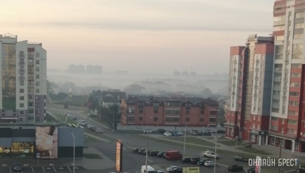 В Бресте и области на 18 января объявлен оранжевый уровень из-за сильного ветра