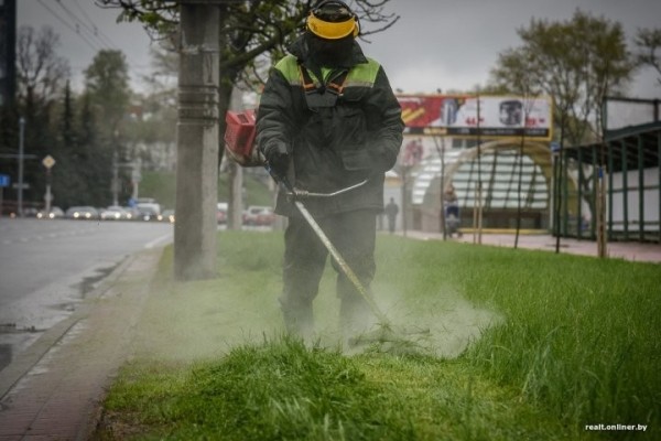 Косил траву и повредил автомобиль. Сколько можно взыскать с коммунальщиков за разбитое стекло