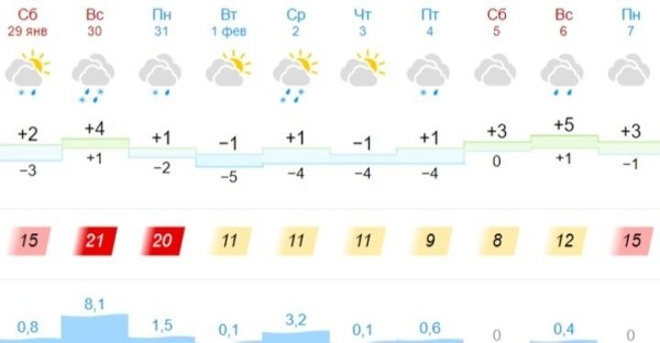 Введен оранжевый уровень: готовимся к сильному ветру и гололедице