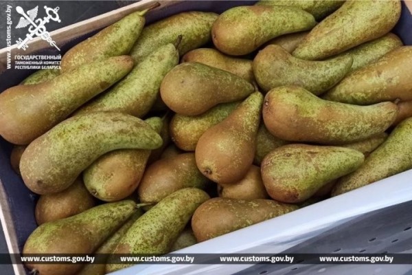 Брестские таможенники развернули грузовик с польскими грушами
