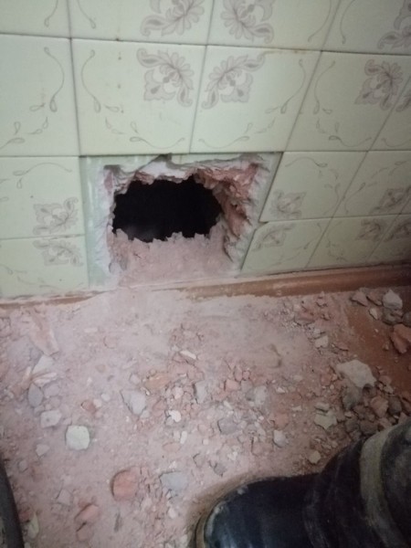 В Барановичах кошка провалилась в вентиляцию. Ее достали спасатели В Барановичах кошка провалилась в вентиляцию. Ее достали спасатели