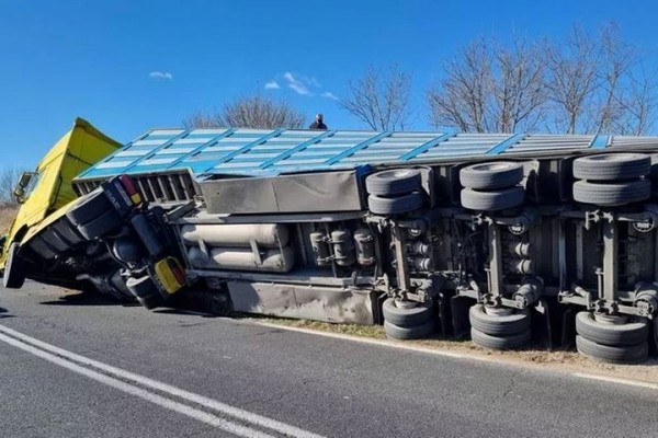 В Италии обернулась фура со свиньями, которых везли белорусы В Италии обернулась фура со свиньями, которых везли белорусы