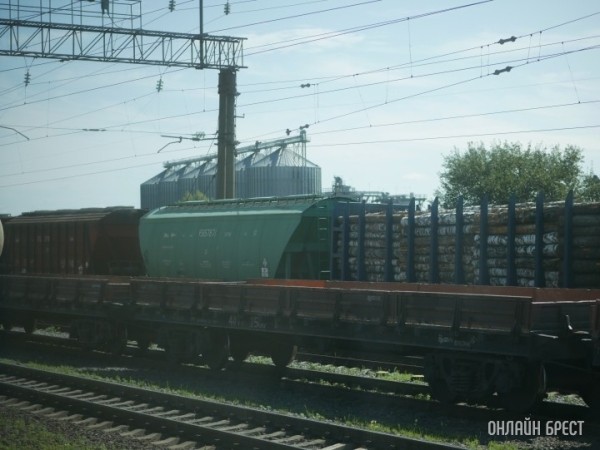 Брестская область в 2021 году на 17% нарастила экспорт в Россию. Что продаем