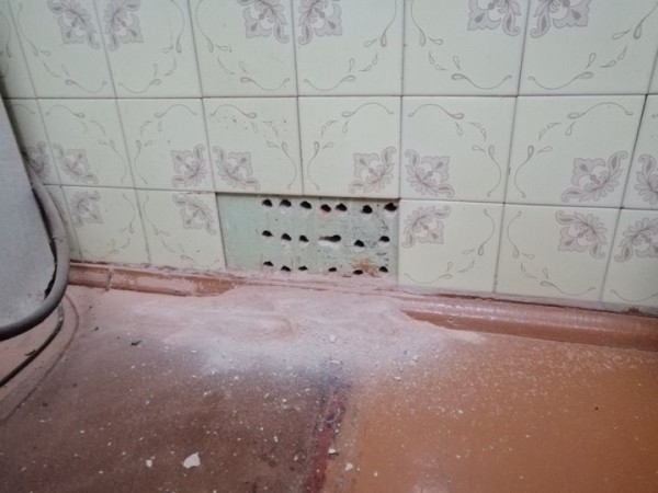 В Барановичах кошка провалилась в вентиляцию. Ее достали спасатели В Барановичах кошка провалилась в вентиляцию. Ее достали спасатели