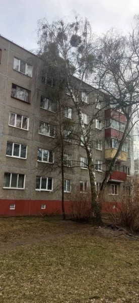 Информация о последствиях непогоды в Бресте