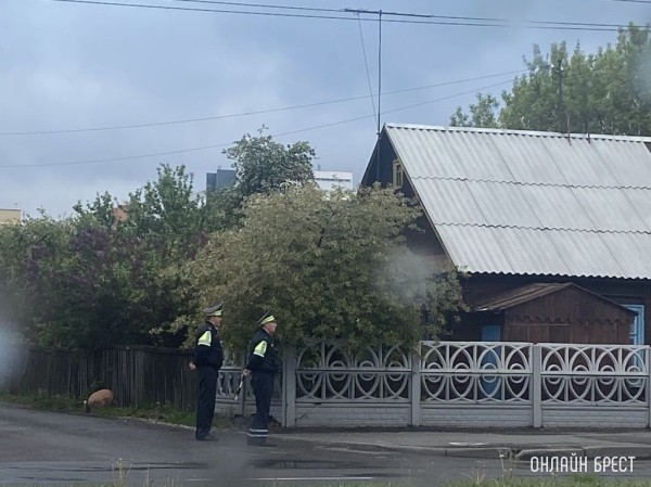 С начала нынешнего года в Брестской области задержали около 700 «бесправников» С начала нынешнего года в Брестской области задержали около 700 «бесправников»