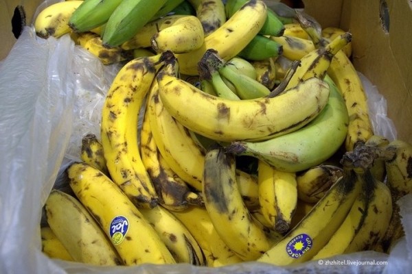 Заменитель сладостей. Какие бананы полезнее: зелёные или жёлтые перезрелые?