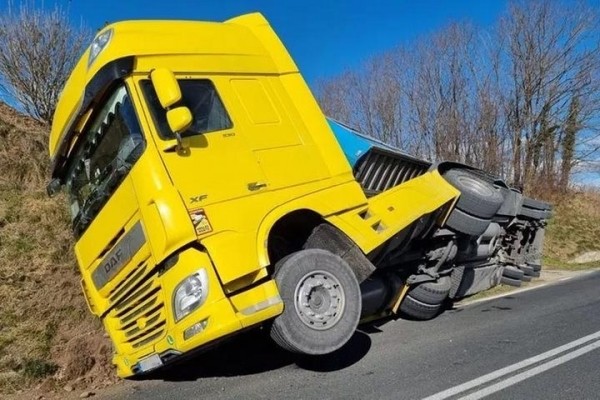 В Италии обернулась фура со свиньями, которых везли белорусы В Италии обернулась фура со свиньями, которых везли белорусы