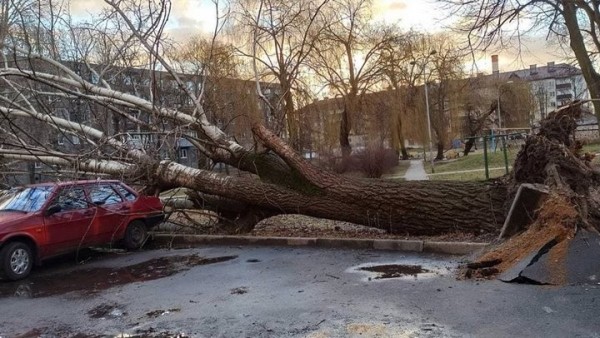 Информация о последствиях непогоды в Бресте