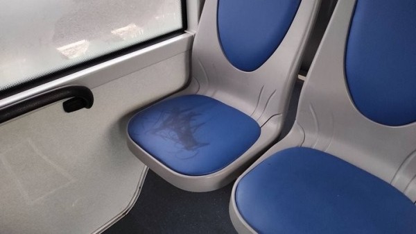 Салон одного из новых троллейбусов Бреста испортили вандалы