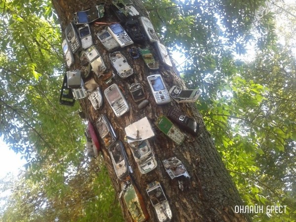 
                Читатель: Во дворах Бреста. Фото из 2013 года
            