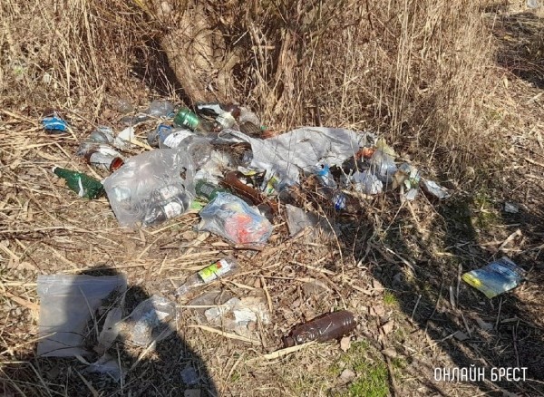 Читатель: Ходили с друзьями на рыбалку за Дворцом водных видов спорта. Время провели классно, но вот свалка мусора просто шокировала
Читатель: Ходили с друзьями на рыбалку за Дворцом водных видов спорта. Время провели классно, но вот свалка мусора просто шокировала