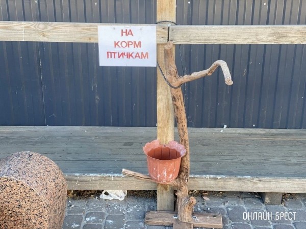 Читатель: Так в Бресте помогают птичкам. Фото сделано на Советской
Читатель: Так в Бресте помогают птичкам. Фото сделано на Советской