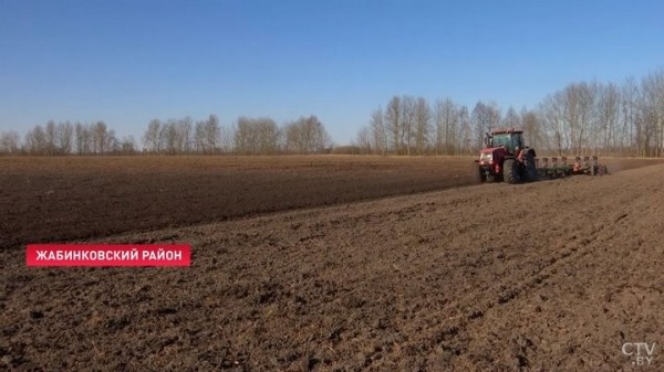 В Брестской области выборочно начали сев ранних яровых культур. Зачем хозяйства пошли на эксперимент с погодой?