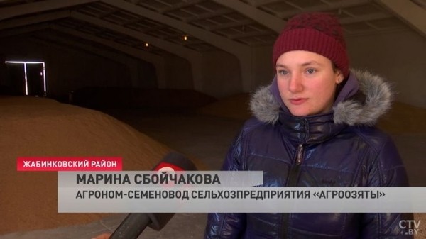 В Брестской области выборочно начали сев ранних яровых культур. Зачем хозяйства пошли на эксперимент с погодой?