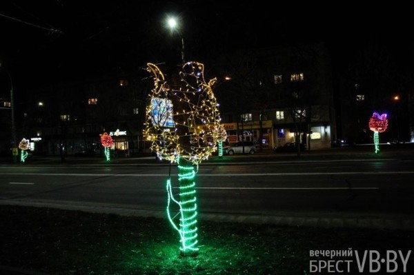 Ночные тюльпаны расцвели на пр. Машерова в Бресте