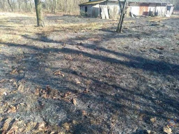 Два человека погибли на пожарах в Брестской области, а пожилая женщина попала в реанимацию