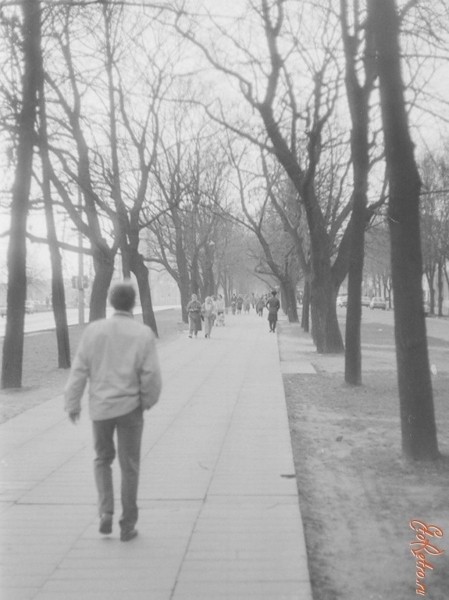 Брест, 1980-е. Подборка старых фотографий
             
                Брест, 1980-е. Подборка старых фотографий