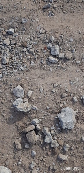 
                Читатель: Брест, улица Чичерина
            