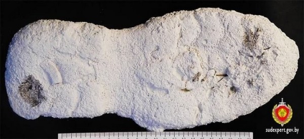 Виновного в краже велосипеда в Брестской области нашли по следам обуви Виновного в краже велосипеда в Брестской области нашли по следам обуви