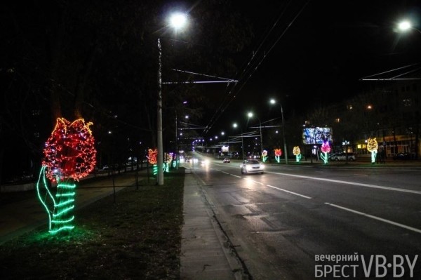 Ночные тюльпаны расцвели на пр. Машерова в Бресте