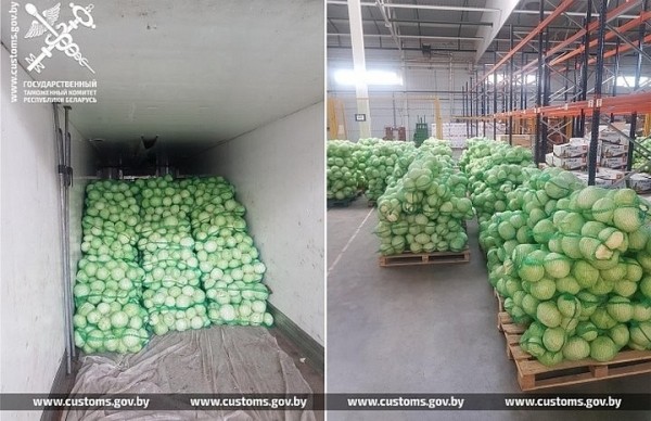 За неделю таможенники пресекли 5 попыток незаконно вывезти из Беларуси 95 т свежей капусты За неделю таможенники пресекли 5 попыток незаконно вывезти из Беларуси 95 т свежей капусты