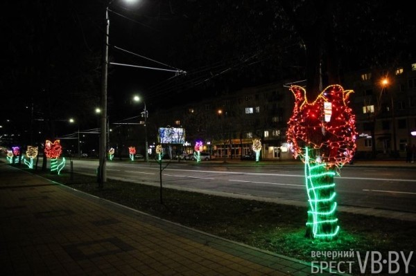 Ночные тюльпаны расцвели на пр. Машерова в Бресте