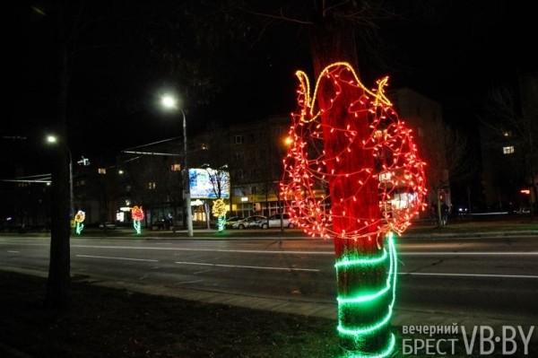 Ночные тюльпаны расцвели на пр. Машерова в Бресте