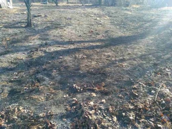 Два человека погибли на пожарах в Брестской области, а пожилая женщина попала в реанимацию