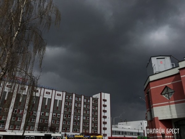 На ближайшие сутки по Бресту и области объявлен оранжевый уровень из-за ветра