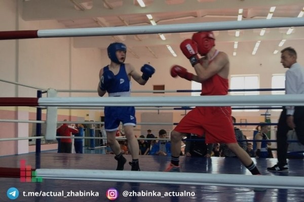 В Жабинке определяли лучших боксеров среди юношей В Жабинке определяли лучших боксеров среди юношей