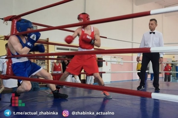 В Жабинке определяли лучших боксеров среди юношей В Жабинке определяли лучших боксеров среди юношей