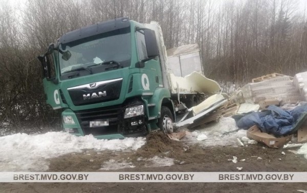 Косуля стала причиной ДТП  в Брестской области