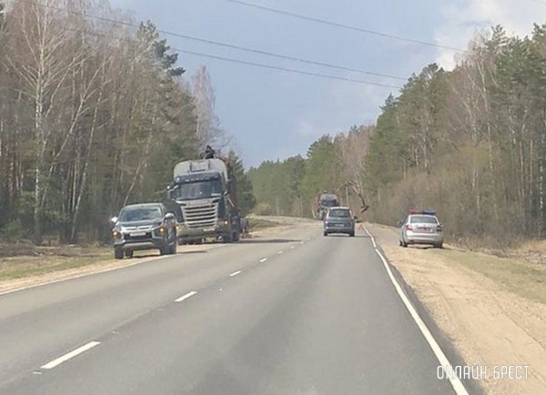 Очевидец: В Ивацевичском районе лесовоз растерял брёвна
Очевидец: В Ивацевичском районе лесовоз растерял брёвна