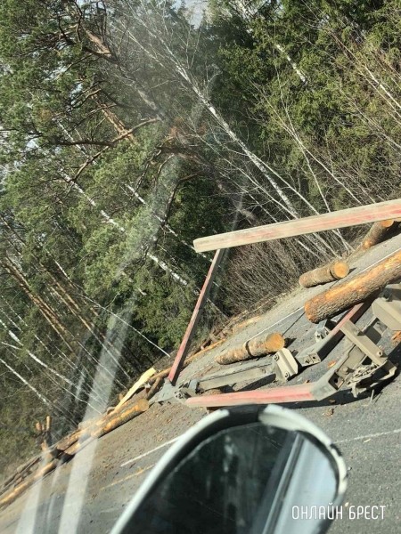 Очевидец: В Ивацевичском районе лесовоз растерял брёвна
Очевидец: В Ивацевичском районе лесовоз растерял брёвна