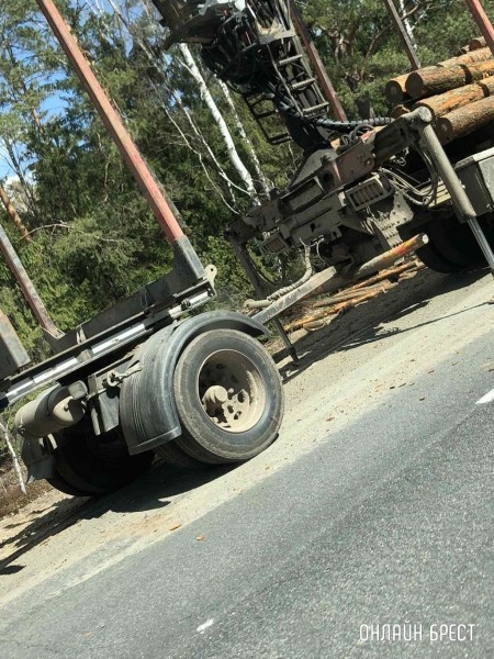 Очевидец: В Ивацевичском районе лесовоз растерял брёвна
Очевидец: В Ивацевичском районе лесовоз растерял брёвна