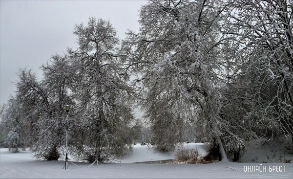 
                Читатель: Снежный апрель в Брестской крепости
            