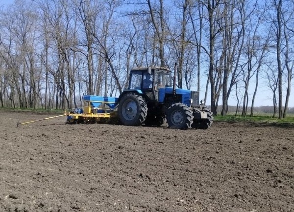 Аграрии Брестской области начали сеять сахарную свеклу